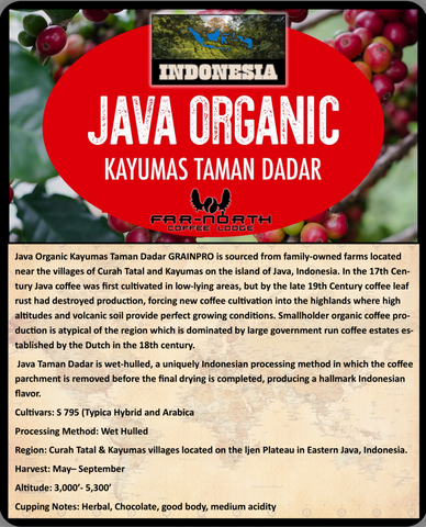 GREEN BEANS "Java Organic"